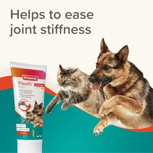 BEAPHAR Joint Care/ Flexifit Paste 250 g - Image 4