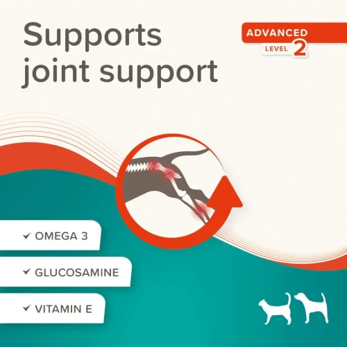 BEAPHAR Joint Care/ Flexifit Paste 250 g - Image 5
