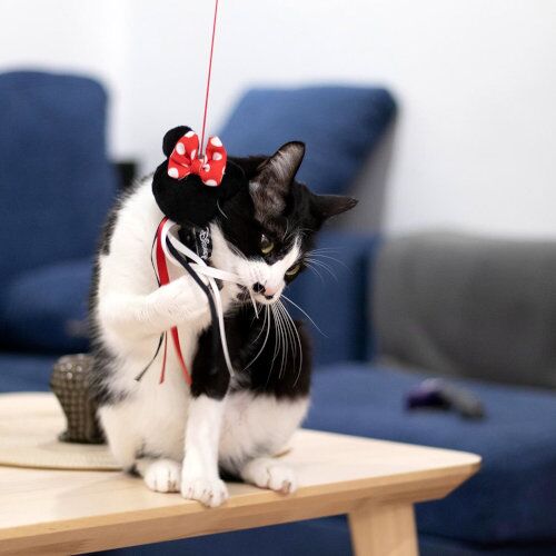Cerda Cat toy Minnie rod - Image 3