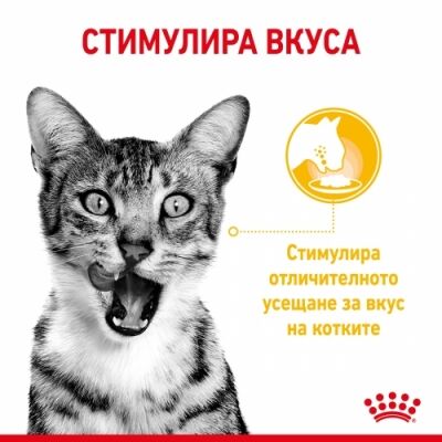 Royal Canin Sensory Smell (in gravy) 85g - Image 3