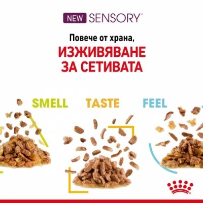Royal Canin Sensory Smell (in gravy) 85g - Image 4