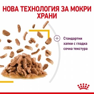 Royal Canin Sensory Smell (in gravy) 85g - Image 5