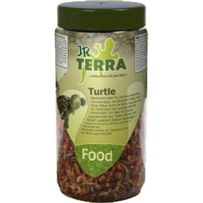 JR TERRA Turtle - Image 2